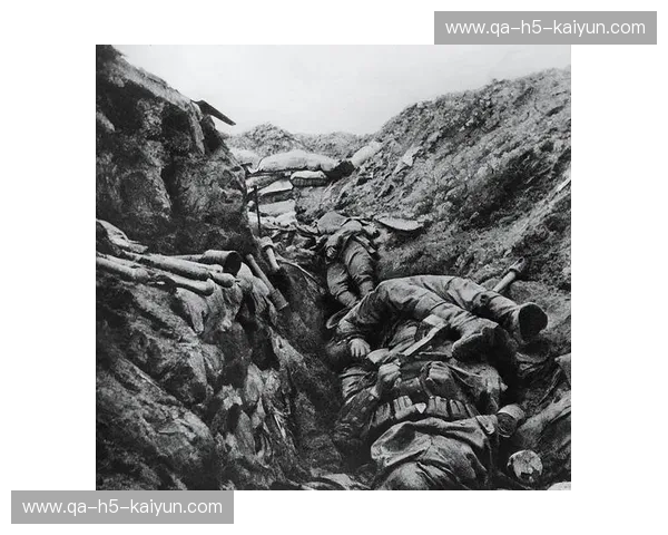 典庆vs:当“最强之盾”碰撞乱世洪流,谁能凿穿那座不倒的血肉长城?